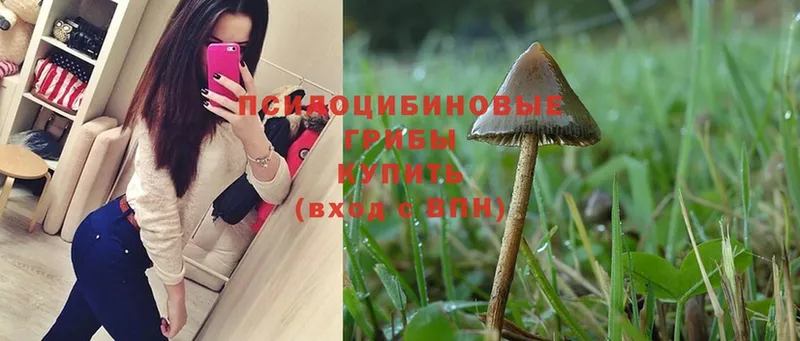 Галлюциногенные грибы MAGIC MUSHROOMS  ссылка на мегу как войти  Крымск 