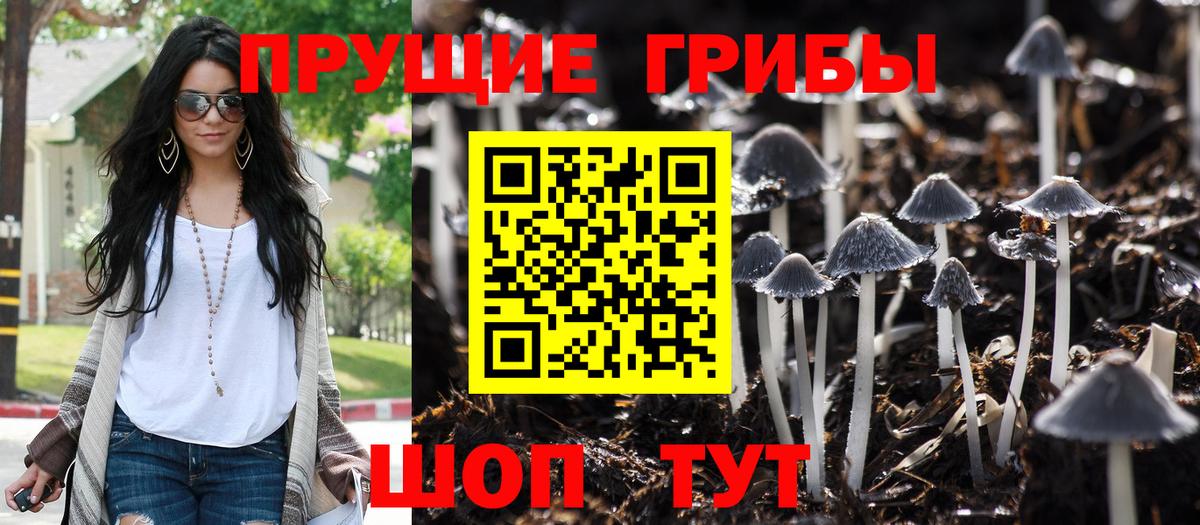 Галлюциногенные грибы Psilocybine cubensis  Крымск 