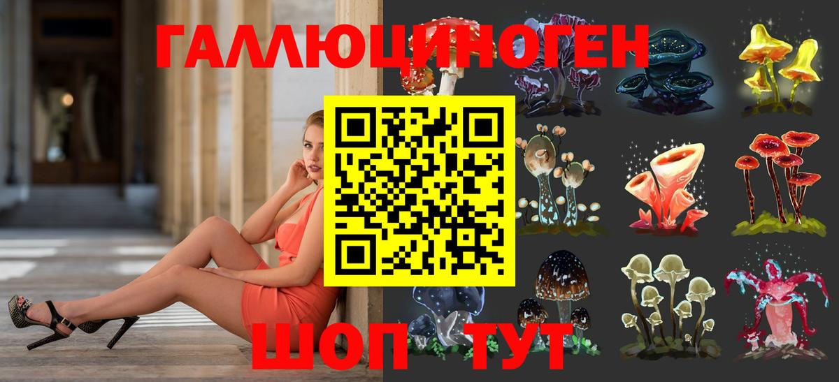 Псилоцибиновые грибы GOLDEN TEACHER  Вход с VPN  Крымск 